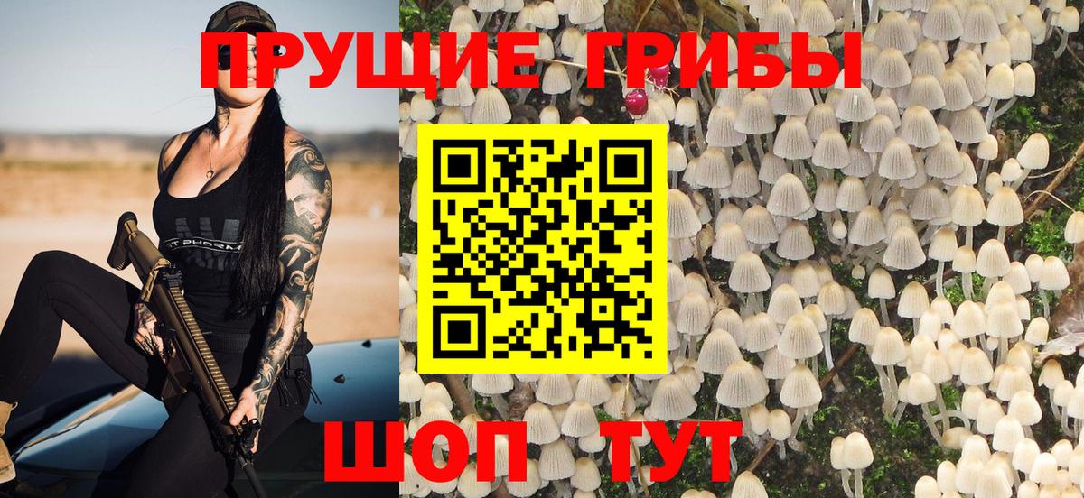 Псилоцибиновые грибы GOLDEN TEACHER  Вход с VPN  Усинск 